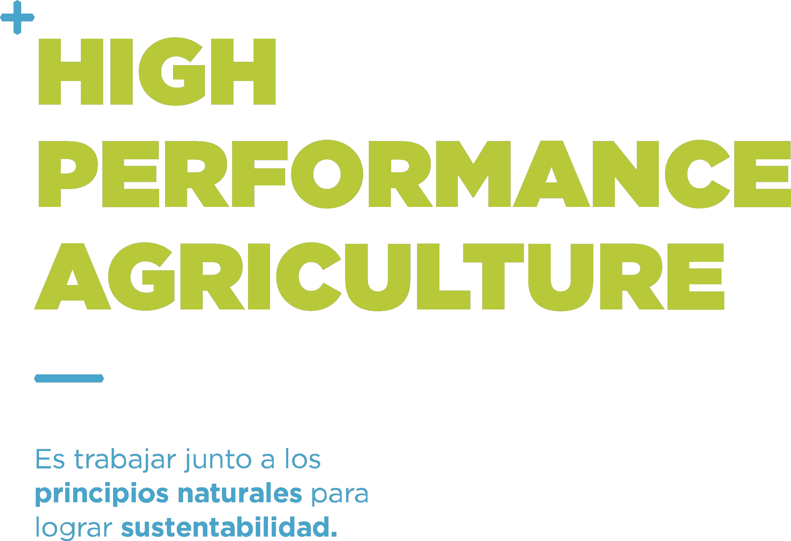 High Performance